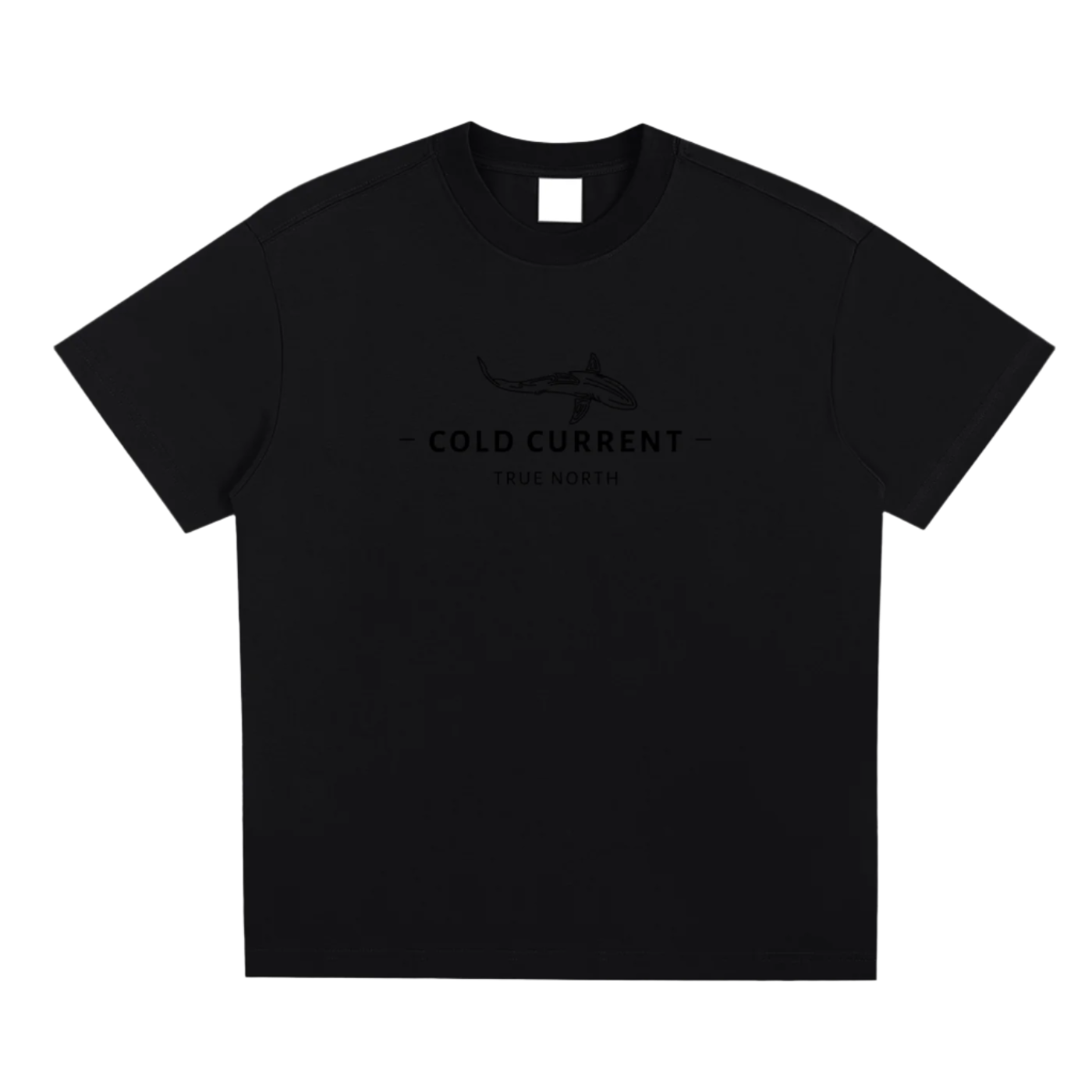 T-Shirt,Shirt